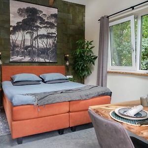Deluxe Kamer met een King Size Bed
